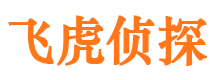 广阳捉小三公司